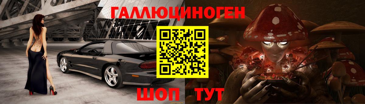 Галлюциногенные грибы Psilocybe Люберцы